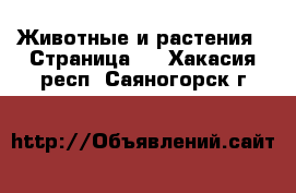  Животные и растения - Страница 2 . Хакасия респ.,Саяногорск г.